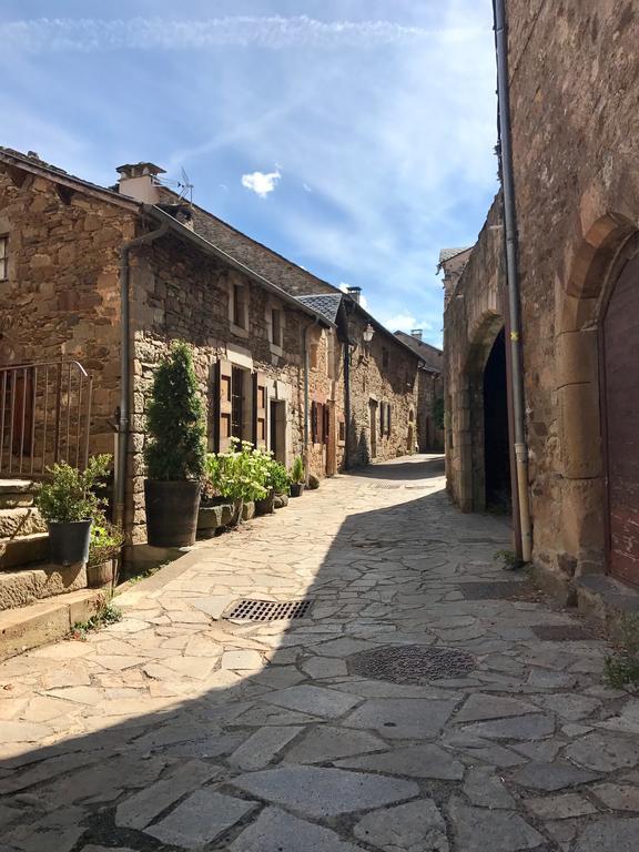 La Petite Maison Des Artistes Castelnau-Pegayrols Bilik gambar