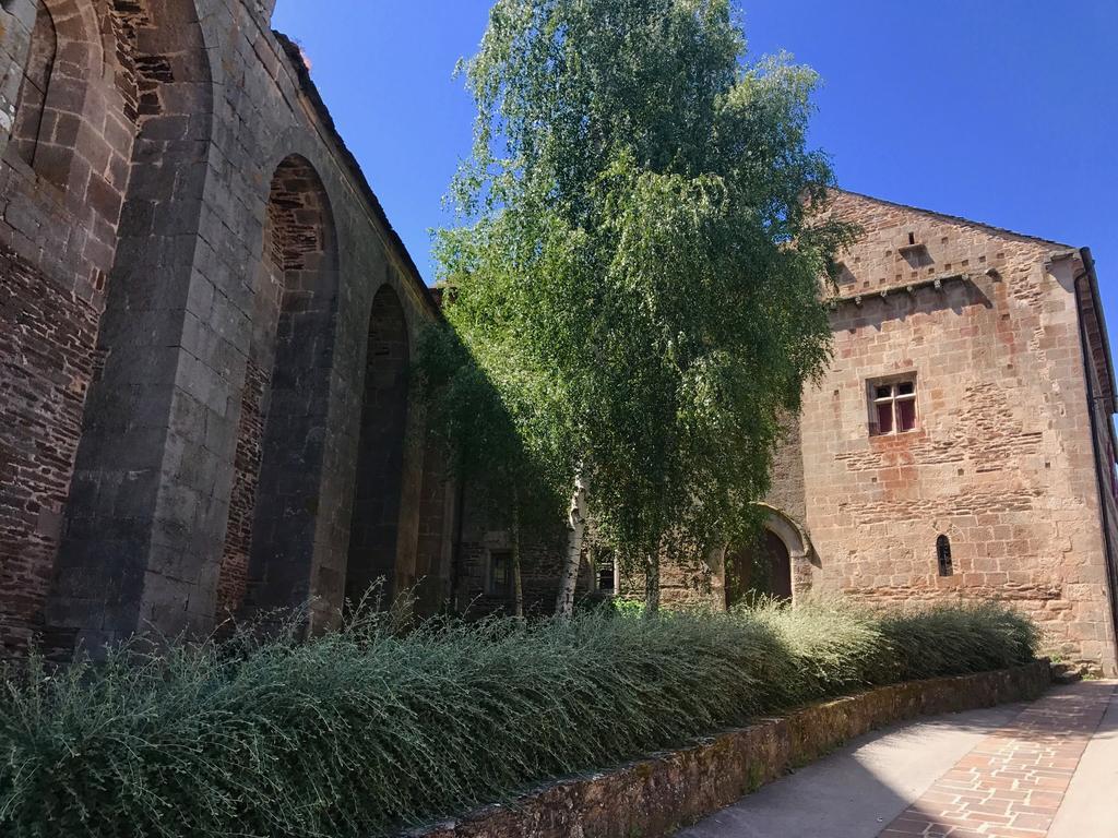 La Petite Maison Des Artistes Castelnau-Pegayrols Bilik gambar