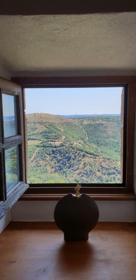 La Petite Maison Des Artistes Castelnau-Pegayrols Luaran gambar