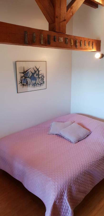 La Petite Maison Des Artistes Castelnau-Pegayrols Luaran gambar